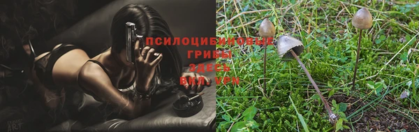 трава Балахна
